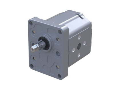 Danfoss Zahnradpumpe
S-N-P-2-N-N/011-R-N-01-DA-
P1-C3-C3-NN-N-N/NNN-N-N
Ident-Nr.: 111.20.262.00

Alte Bezeichnung:
SNP2/11 D SC 01
